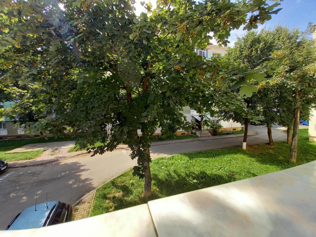 Alma Apartament Piatra Neamt Bagian luar foto