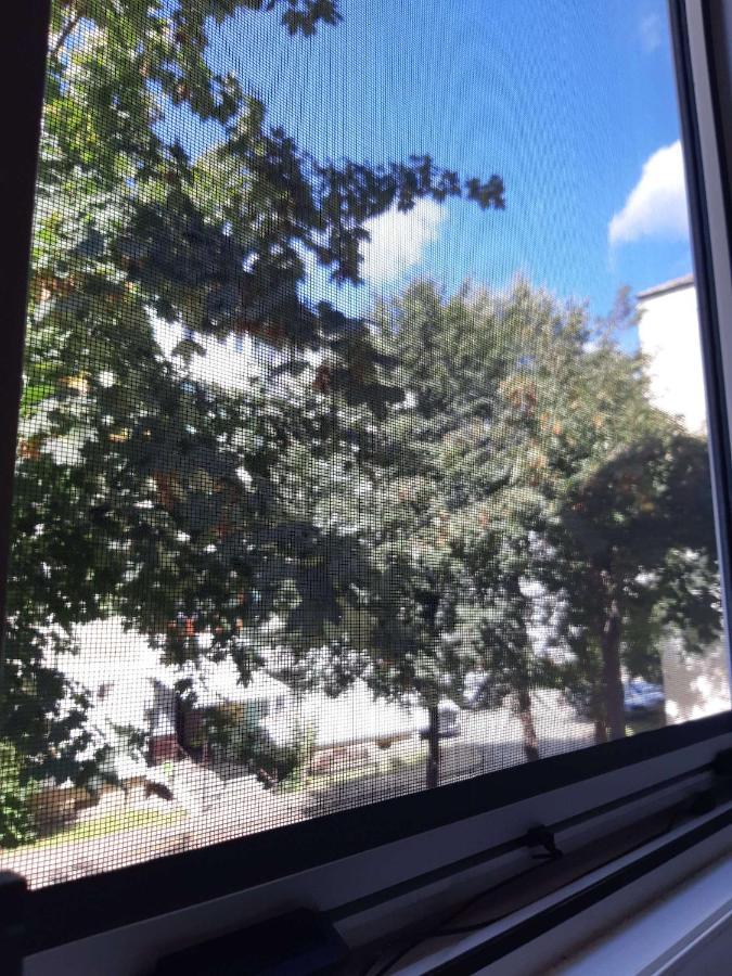 Alma Apartament Piatra Neamt Bagian luar foto